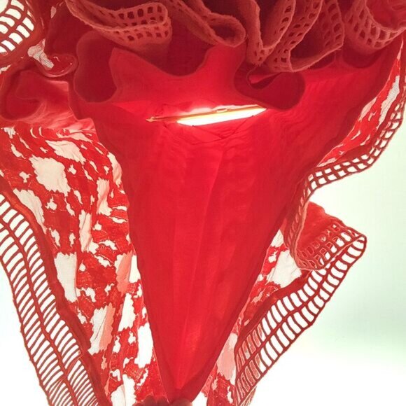 Sundance Dress Size 12 Coral Embroidered Mesh Lace Sleeveless Fully Lined Boho - Picture 7 of 10